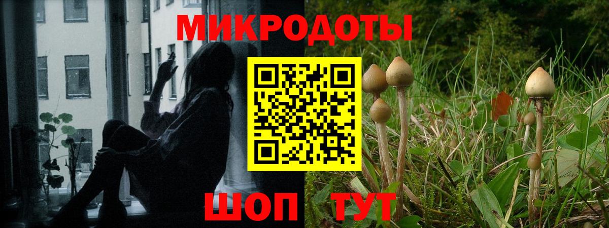 Томск  Галлюциногенные грибы Magic Shrooms  Вход с VPN 